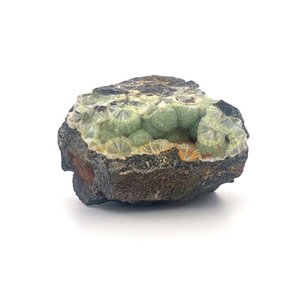 Wavellite Green Starburst Crystal Botryoidal Druzy  |  44 (g)