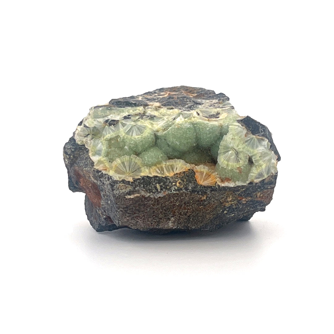 Wavellite Green Starburst Crystal Botryoidal Druzy  |  44 (g)