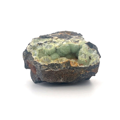 Wavellite Green Starburst Crystal Botryoidal Druzy  |  44 (g)