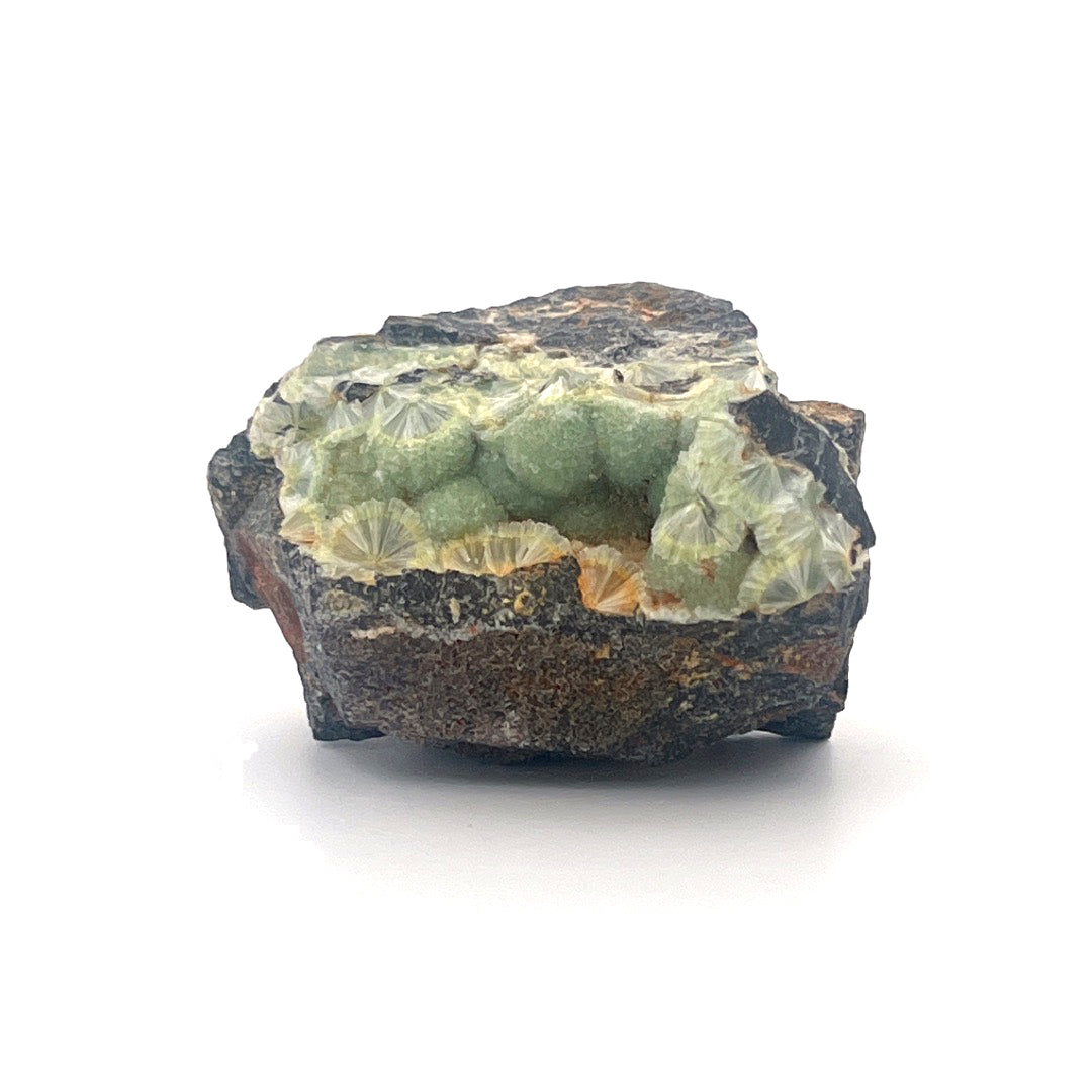 Wavellite Green Starburst Crystal Botryoidal Druzy  |  44 (g)