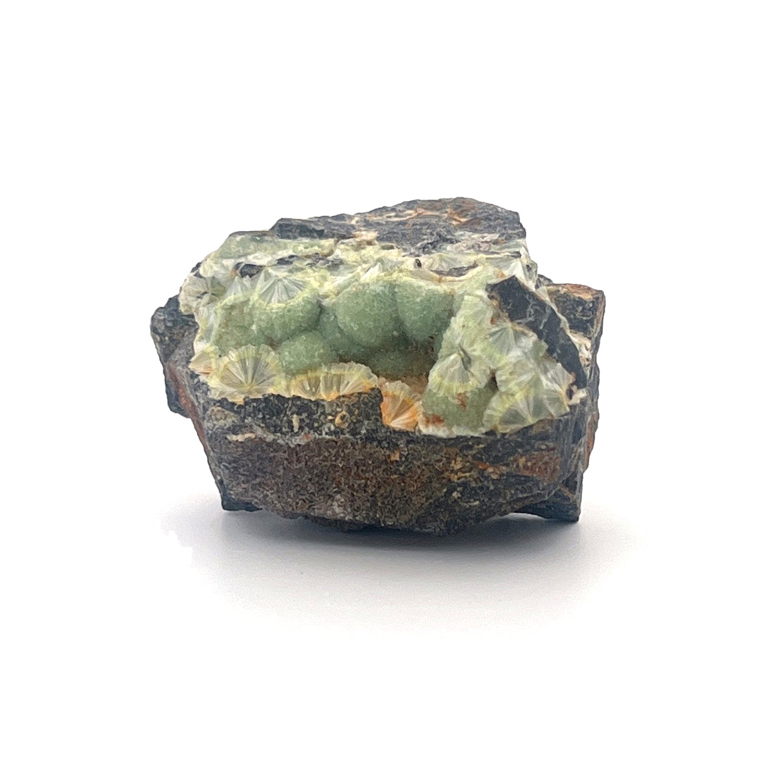 Wavellite Green Starburst Crystal Botryoidal Druzy  |  44 (g)