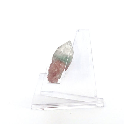 Mint Green on Shiny Pink Apophyllite Fused with Stilbite High Grade |  8.6 (g)