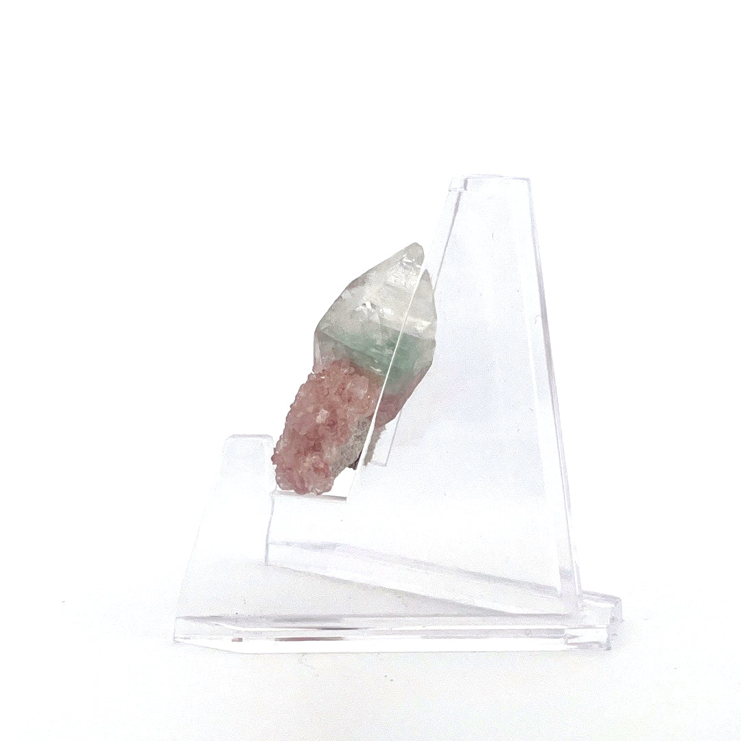 Mint Green on Shiny Pink Apophyllite Fused with Stilbite High Grade |  8.6 (g)