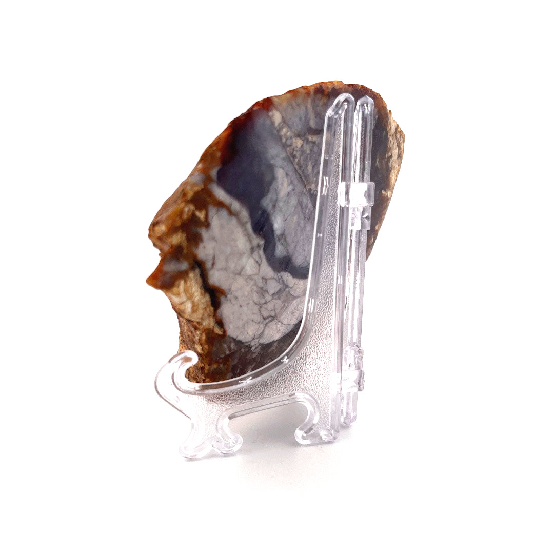 Petrified Wood Purple Chalcedony Rebel Agate  | 324 (g)