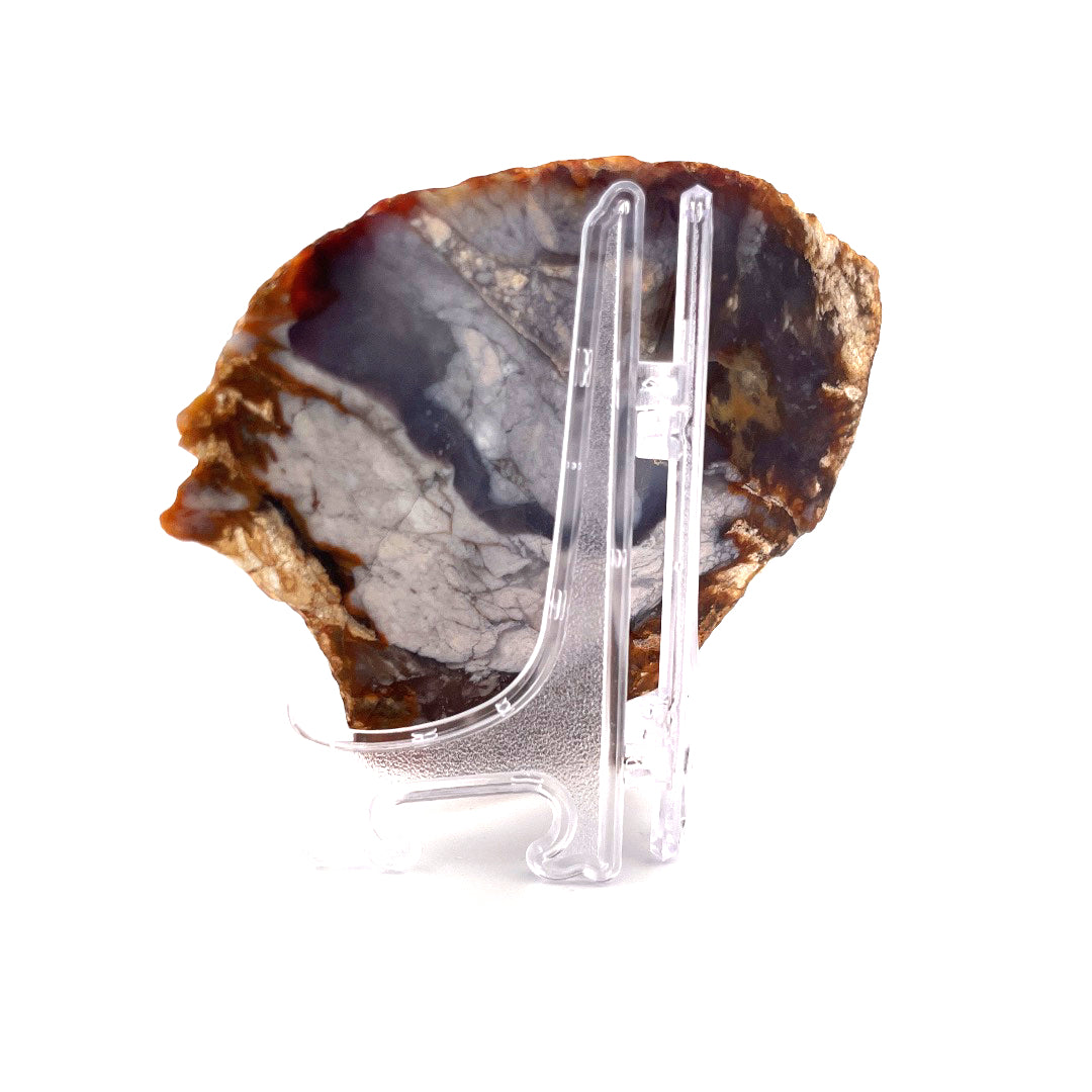 Petrified Wood Purple Chalcedony Rebel Agate  | 324 (g)