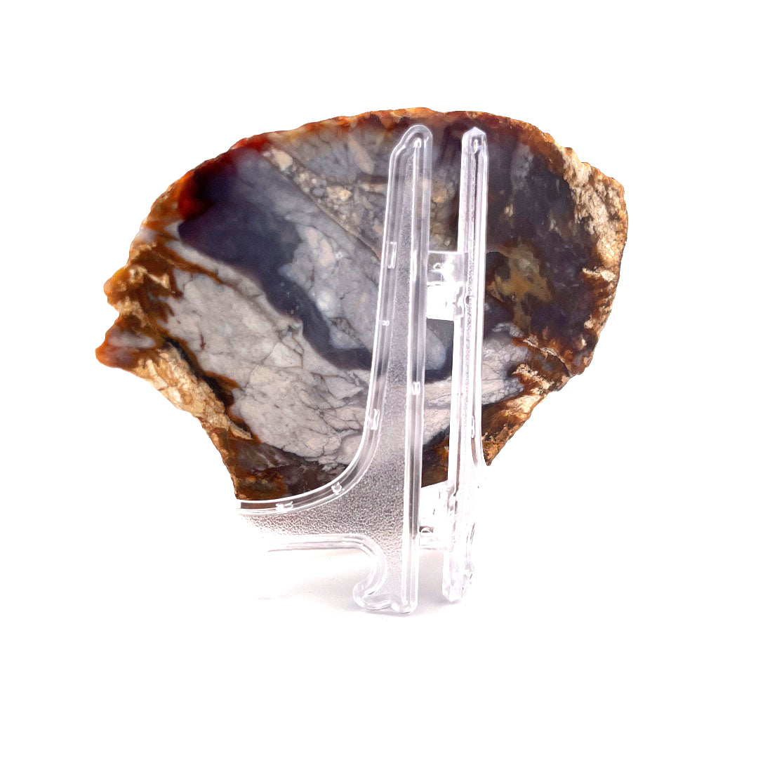 Petrified Wood Purple Chalcedony Rebel Agate  | 324 (g)