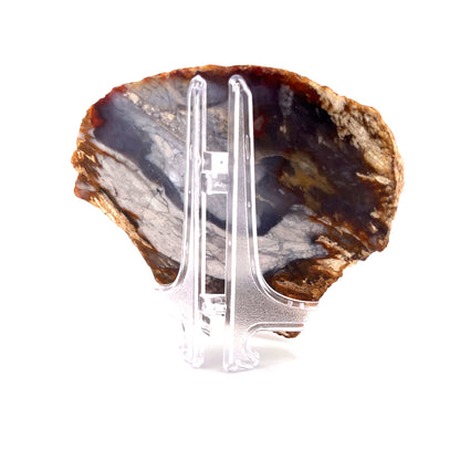 Petrified Wood Purple Chalcedony Rebel Agate  | 324 (g)