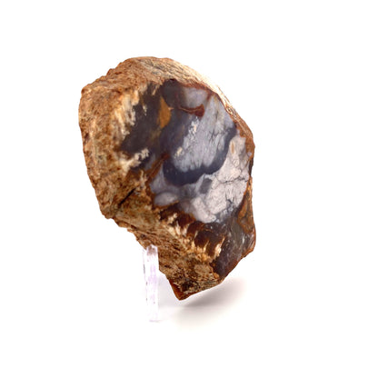 Petrified Wood Purple Chalcedony Rebel Agate  | 324 (g)