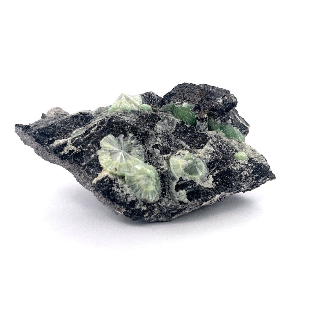 Wavellite Green Starburst Crystal Botryoidal Druzy  |  173 (g)