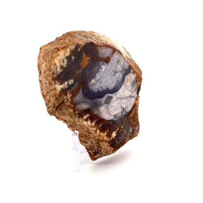 Petrified Wood Purple Chalcedony Rebel Agate  | 324 (g)