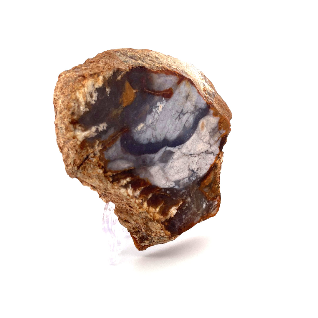 Petrified Wood Purple Chalcedony Rebel Agate  | 324 (g)