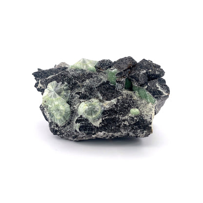 Wavellite Green Starburst Crystal Botryoidal Druzy  |  173 (g)