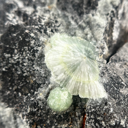 Green Starburst Crystal