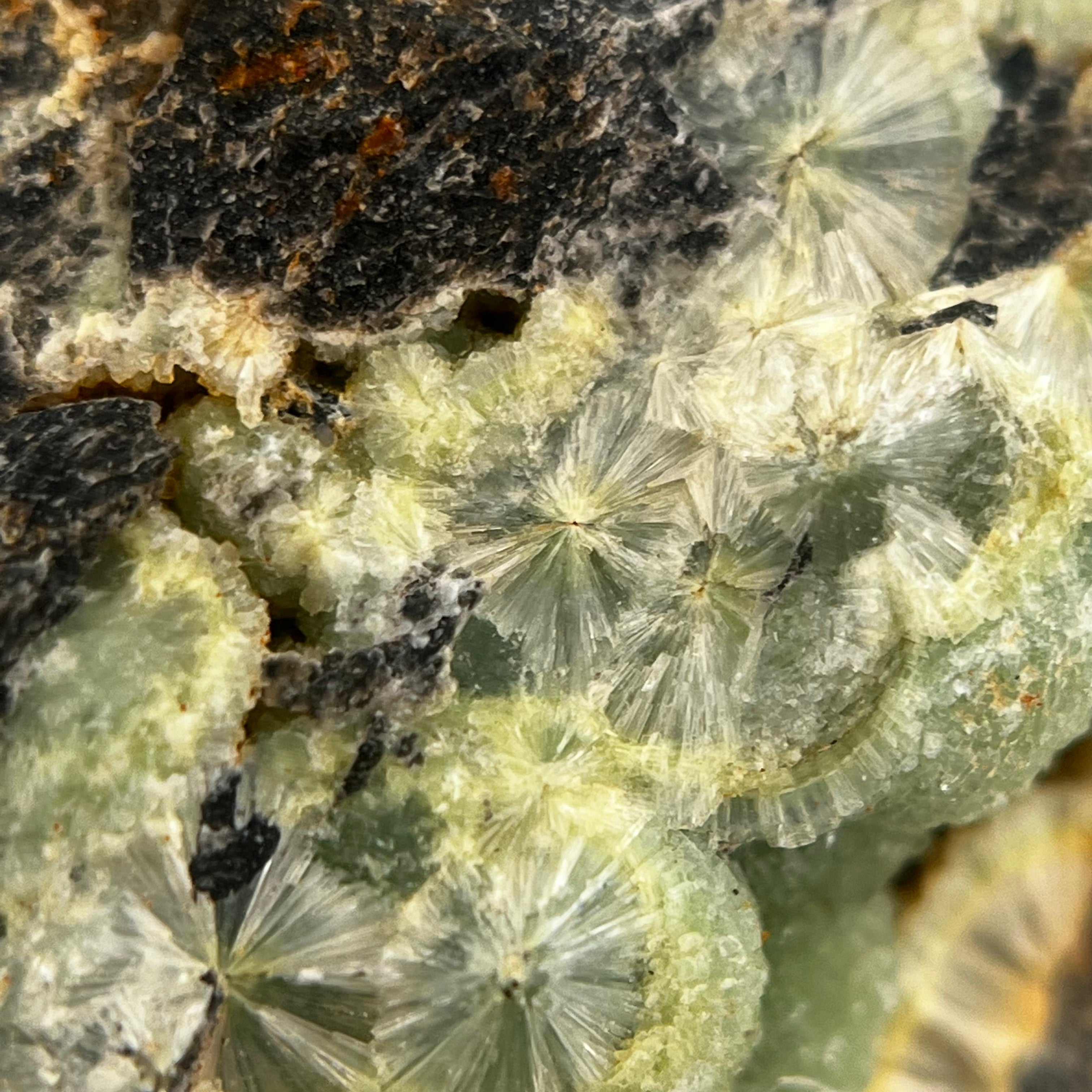 Wavellite Green Starburst Crystal 